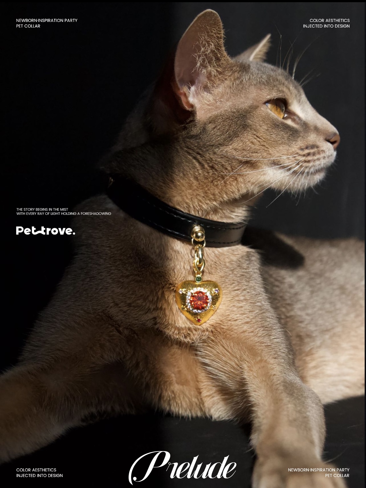 Pettrove community photo