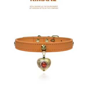 Hermès Orange Dog /Cat Collar