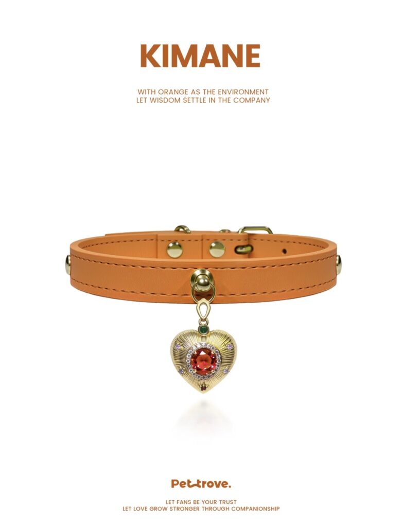 Hermès Orange Dog /Cat Collar