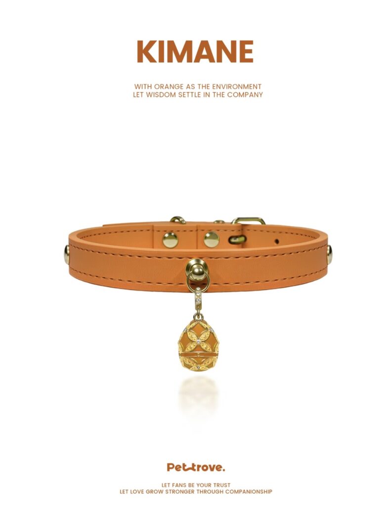 Hermès Orange Dog /Cat Collar