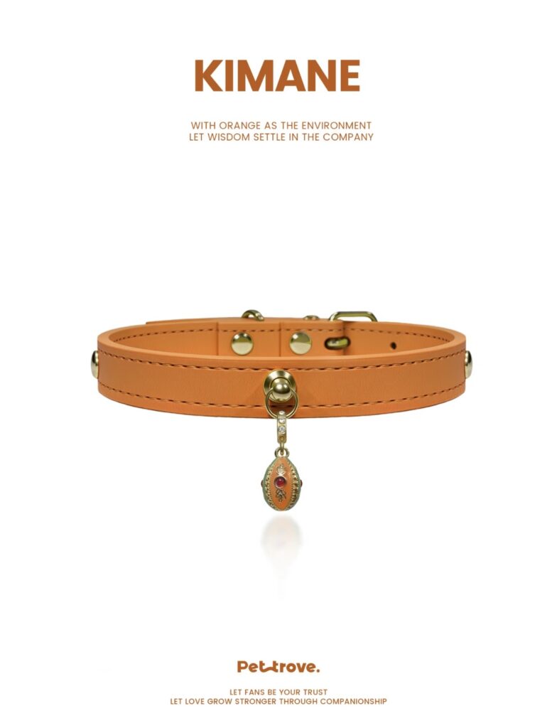 Hermès Orange Dog /Cat Collar style 4