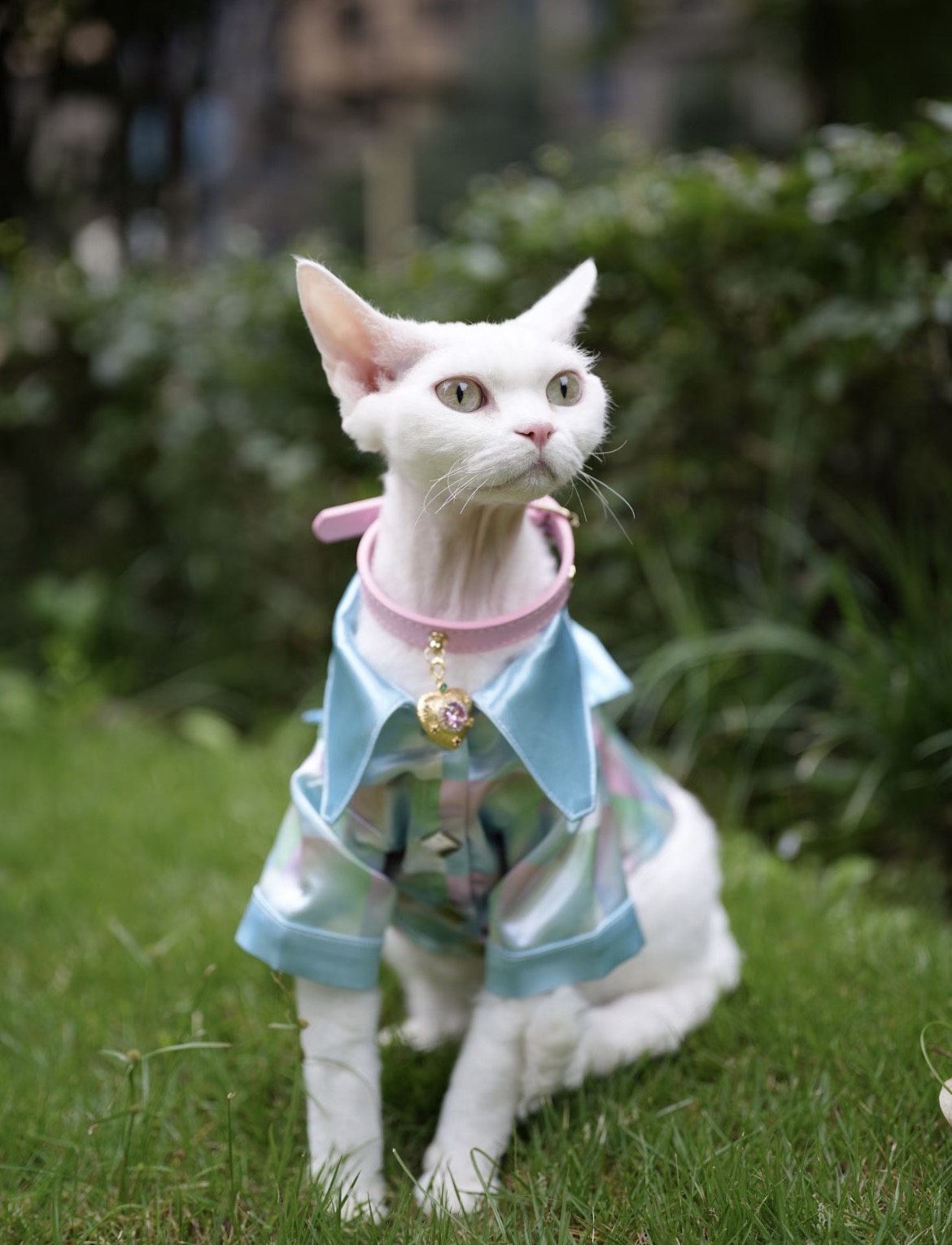 Light‑pink Rhinestone Collar for Cats & Dogs