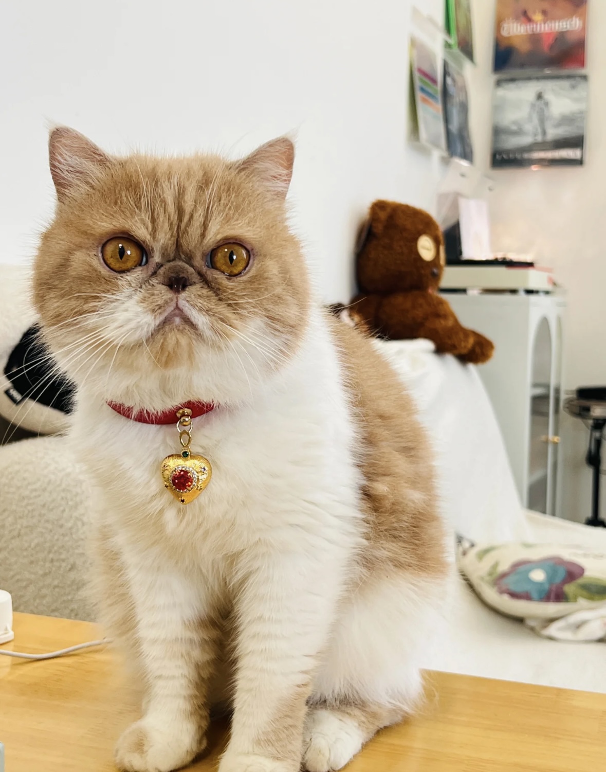 Red Gilded Cat & Dog Collar